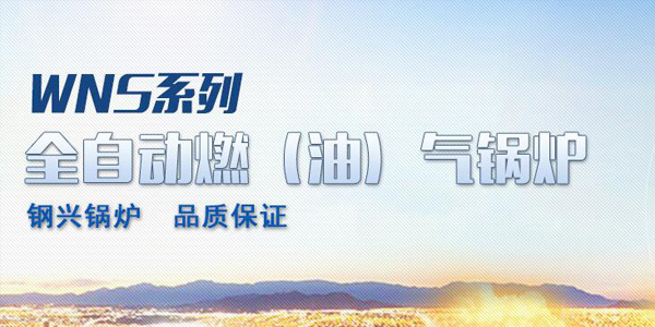 專(zhuān)業(yè)生產(chǎn)燃?xì)忮仩t設(shè)備